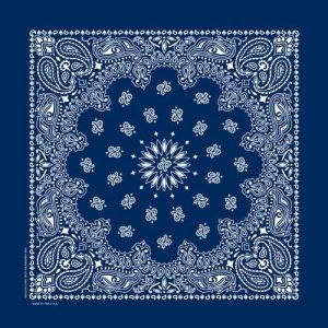 NT4402 Bandana Paisley Navy