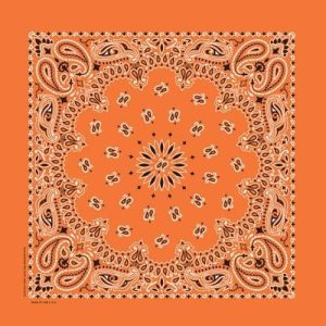 NT4404 Bandana Paisley Orange
