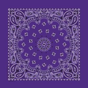NT4406 Bandana Paisley Purple