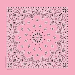 NT4408 Bandana Paisley Light Pink