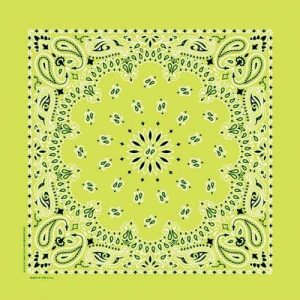 NT4410 Bandana Paisley Lime