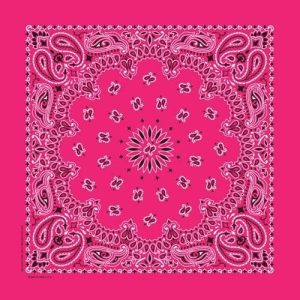 NT4413 Bandana Paisley Hot Pink