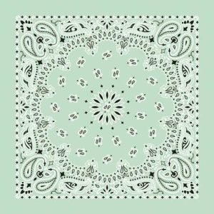 NT4414 Bandana Paisley Mint