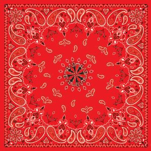 B003- Bandanna Red Paisley