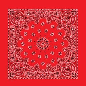 BD2500 Bandana Paisley Red