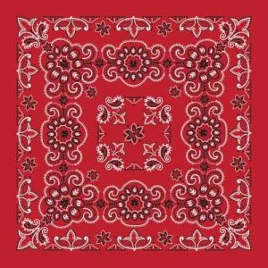 BD2507 Bandana Texas Paisley Red [27" x27"]